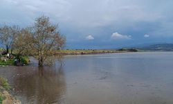 Sarıgöl Ovası’nda su sevinci