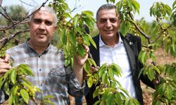 Başkan Şimşek sezon öncesi üreticiyi dinledi