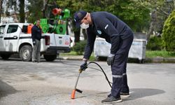 Manisa’da sineklere geçit yok