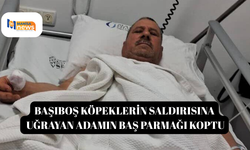 Başıboş köpeklerin saldırısına uğrayan adamın baş parmağı koptu