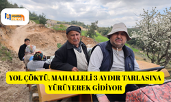 Yol çöktü, mahalleli 3 aydır tarlasına yürüyerek gidiyor
