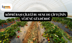 Köprübaşı çileği bu sene de çiftçinin yüzünü güldürdü