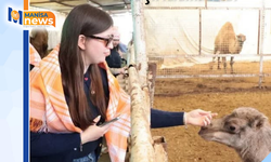 Estonyalı öğrenciler deve çiftliğini gezdi