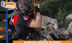 Kuyuya düşen kuzuya itfaiyeden nefes kesen kurtarma