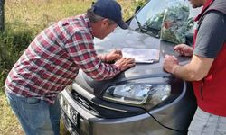 Bağlarda hasat öncesi pestisit denetimi başladı