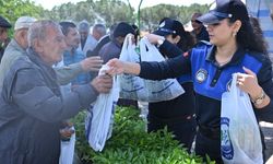 Salihlili üreticilere 34 bin sebze fidesi