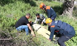 Manisa’da 5 ilçede eş zamanlı orman yangını tatbikatı gerçekleştirildi