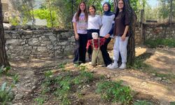 Okul bahçesi hem üretim alanına hem geri dönüşüm merkezine dönüştü