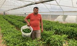 Lezzeti fiyatını unutturuyor