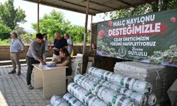 Manisa Büyükşehir’den çilek üreticilerine malç naylonu desteği