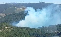 Soma'daki orman yangınına havadan ve karadan müdahale başladı