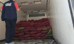 Manisa'da menşei belirsiz midyeler imha edildi