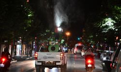 Sivrisineklere karşı eş zamanlı ilaçlama
