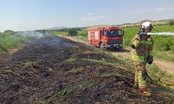 Aşırı sıcaklar Manisa'yı ateş çemberine çevirdi