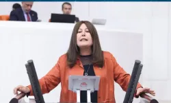 Şenol Sunat Kırkağaç projesini TBMM gündemine taşıdı