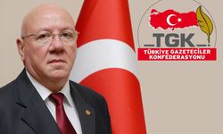 Kolaylı: Özgür basın demokrasinin güvencesidir