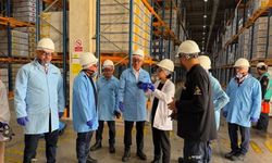 Çin heyeti Manisa’da tarım ihracatı için incelemelerde bulundu