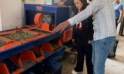 BAŞKAN AYTAÇ’TAN ZEYTİN ÜRETİCİSİNE DESTEK ÇAĞRISI: “ZEYTİN DALINDA MI KALSIN İSTİYORSUNUZ?”