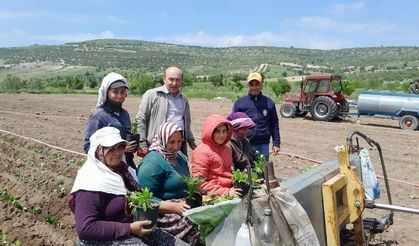 Selendi CHP tarlada çalışan anneleri yalnız bırakmadı