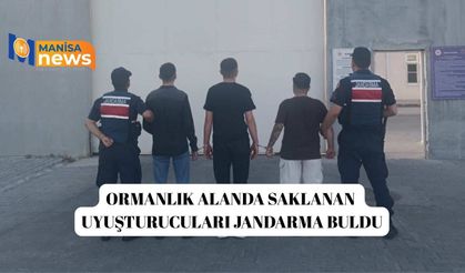 Ormanlık alanda saklanan uyuşturucuları jandarma buldu