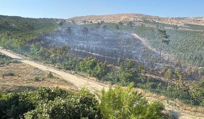 Soma’daki orman yangınları kontrol altına alındı