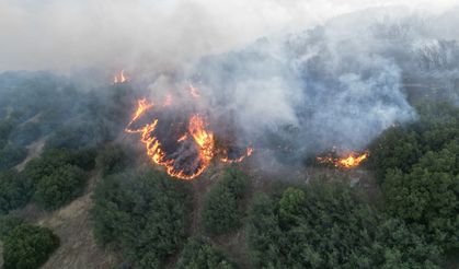 Kula'daki yangın kontrol altına alındı