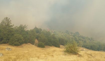 Kula’daki orman yangını için ekipler ve vatandaşlar seferber oldu