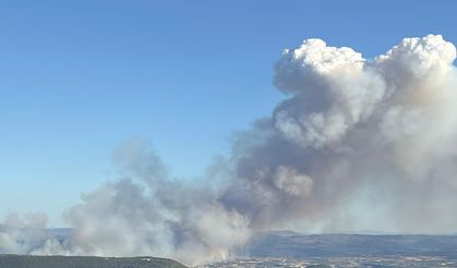 Manisa'nın farklı bir noktasında daha orman yangını çıktı