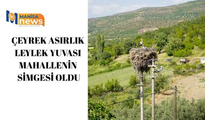 Çeyrek asırlık leylek yuvası mahallenin simgesi oldu