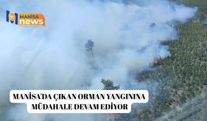 Manisa'da çıkan orman yangınına müdahale devam ediyor