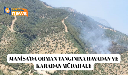 Manisa'da orman yangınına havadan ve karadan müdahale