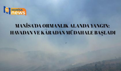 Manisa'da ormanlık alanda yangın: Havadan ve karadan müdahale başladı