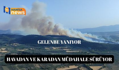 Havadan ve karadan müdahale sürüyor