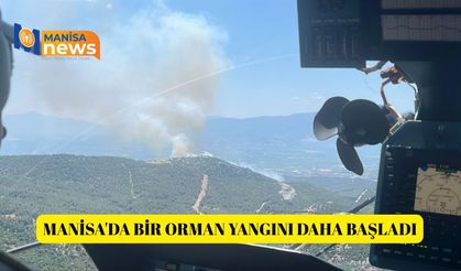 Manisa'da bir orman yangını daha başladı