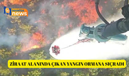 Ziraat alanında çıkan yangın ormana sıçradı