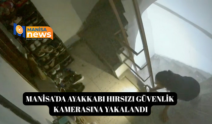 Manisa'da ayakkabı hırsızı güvenlik kamerasına yakalandı