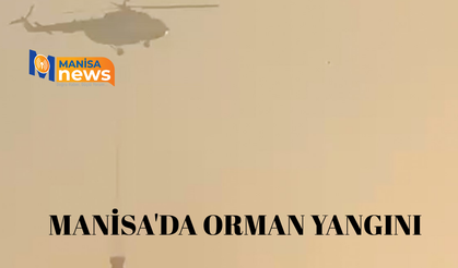 Manisa'da orman yangını