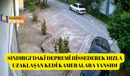 Sındırgı’daki depremi hissederek hızla uzaklaşan kedi kameralara yansıdı