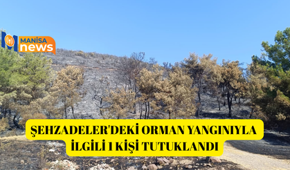 Şehzadeler'deki orman yangınıyla ilgili 1 kişi tutuklandı
