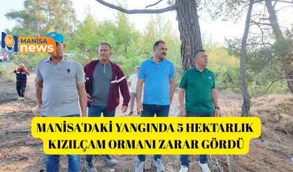 Manisa'daki yangında 5 hektarlık kızılçam ormanı zarar gördü