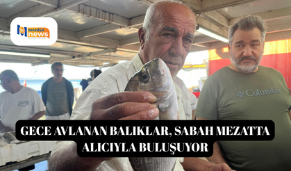 Gece avlanan balıklar, sabah mezatta alıcıyla buluşuyor