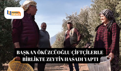 Başkan Öküzcüoğlu çiftçilerle birlikte zeytin hasadı yaptı