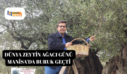 Dünya zeytin ağacı günü Manisa’da buruk geçti