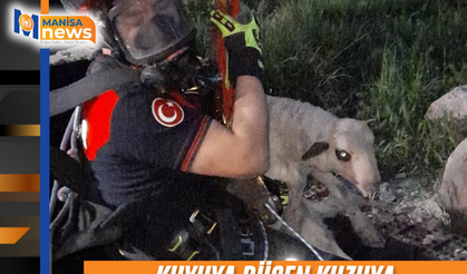 Kuyuya düşen kuzuya itfaiyeden nefes kesen kurtarma