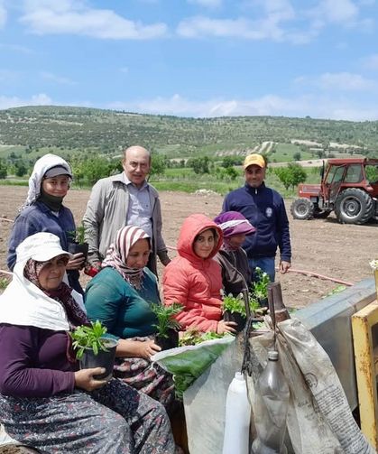 Selendi CHP tarlada çalışan anneleri yalnız bırakmadı