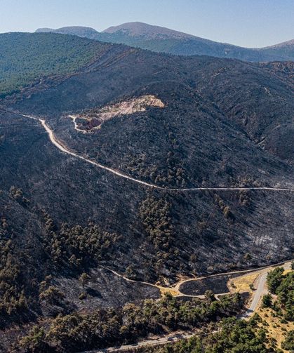 Soma’daki orman yangınında soğutma çalışmaları sürüyor