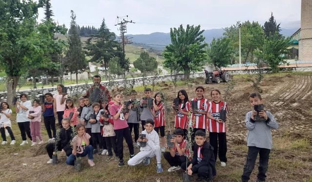 Minik eller okul bahçesine zeytin dikti