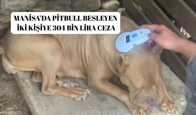 Manisa’da pitbull besleyen iki kişiye 304 bin lira ceza
