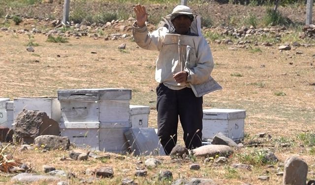 Yunusemre Belediyesinden arıcılığa tam destek