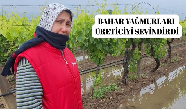 Bahar yağmurları üreticiyi sevindirdi